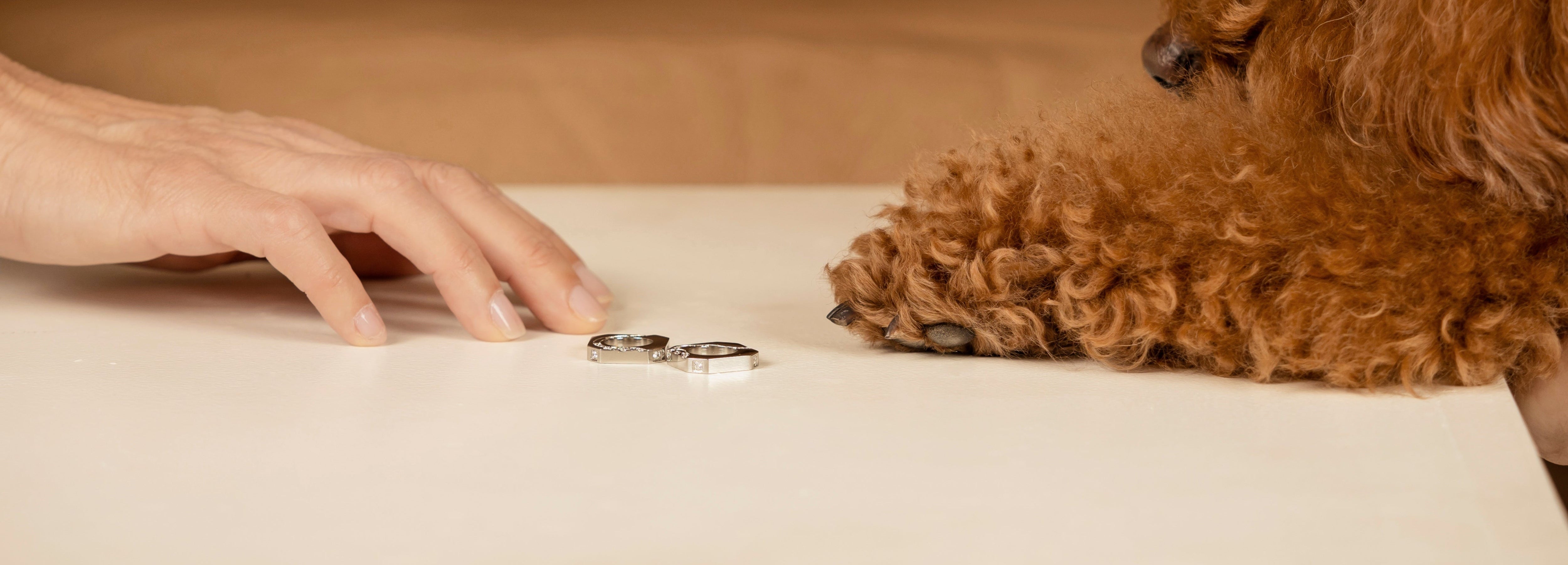 Gioielli Gemelli e Accessori