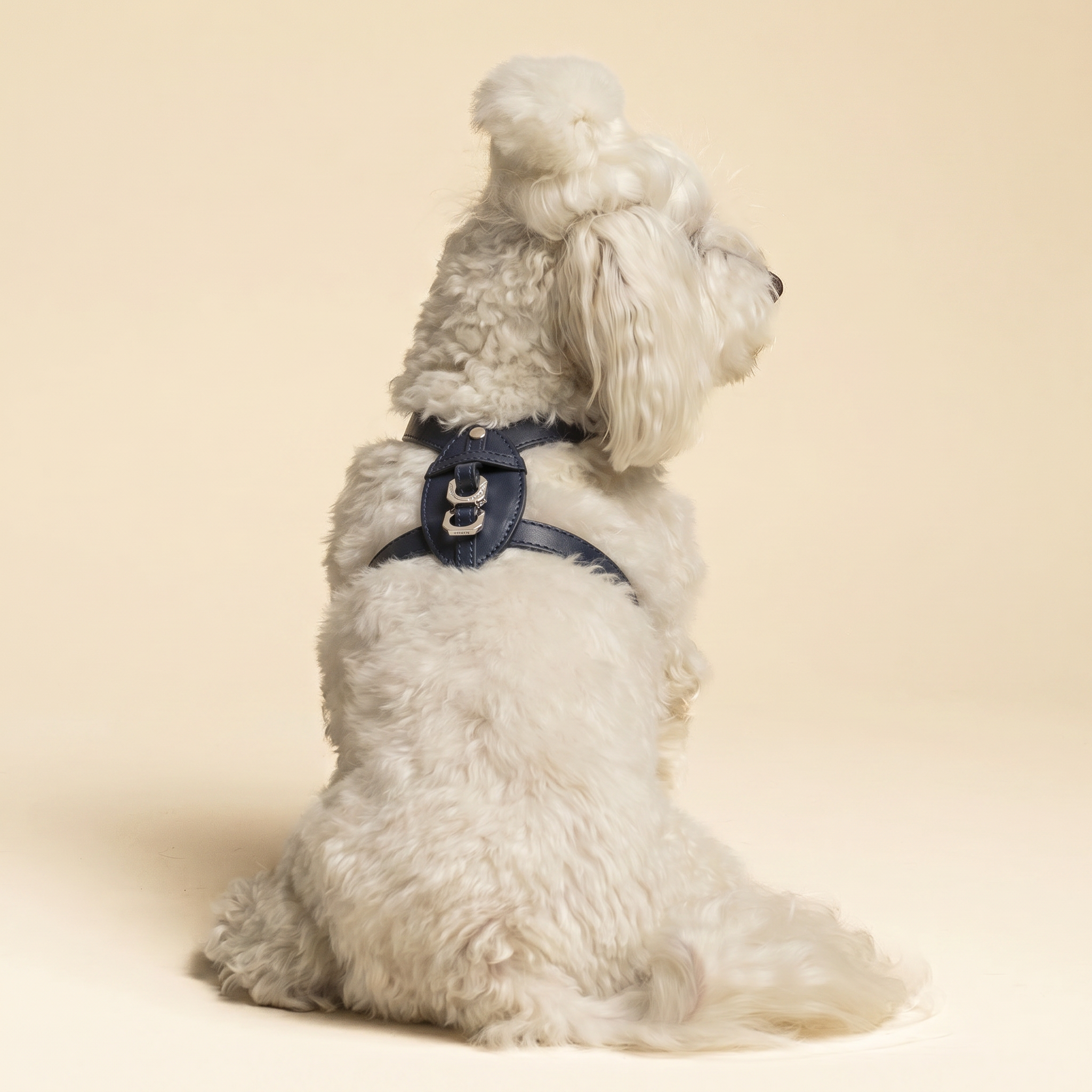 Pettorina Premium - Blu Gratitude