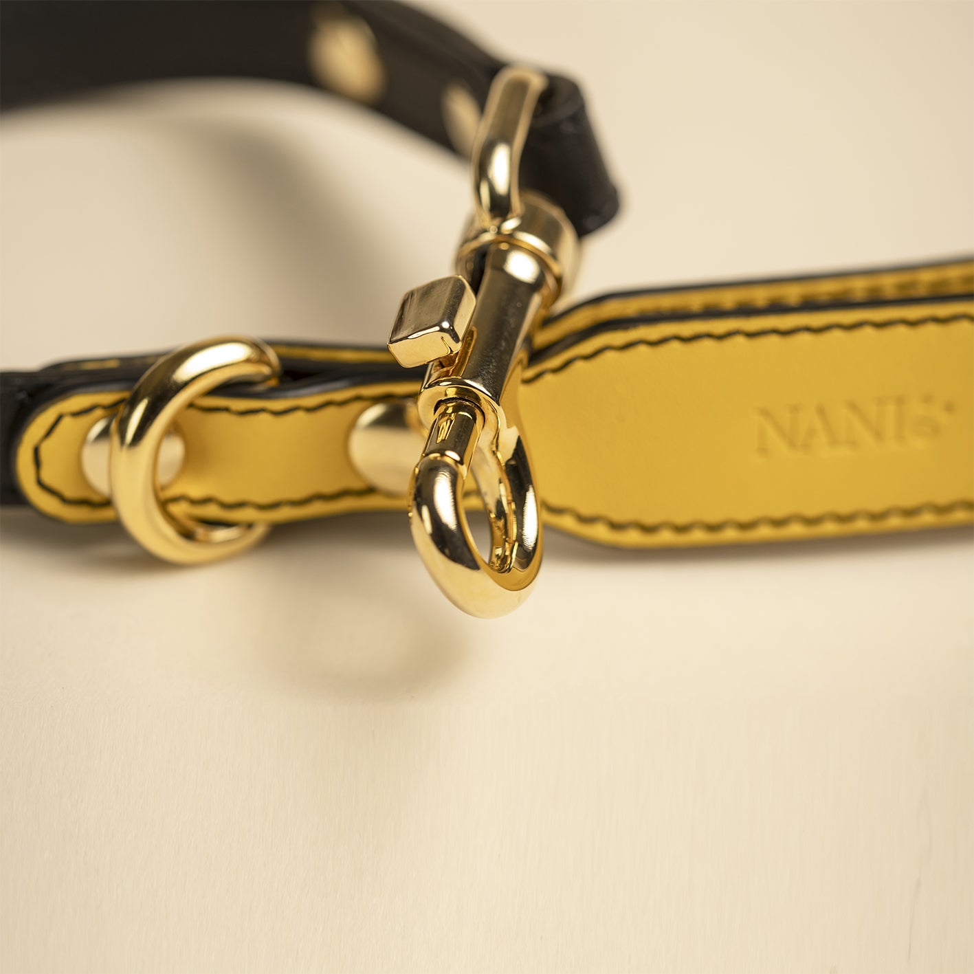 Limited Edition Leash - Multicolor Compasso D'oro