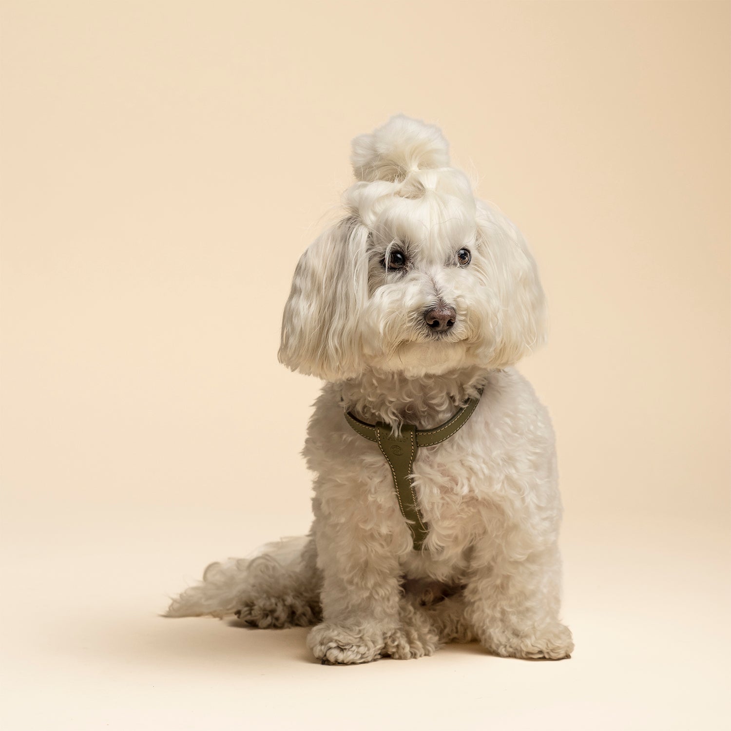 Premium Harness - Harmony Green