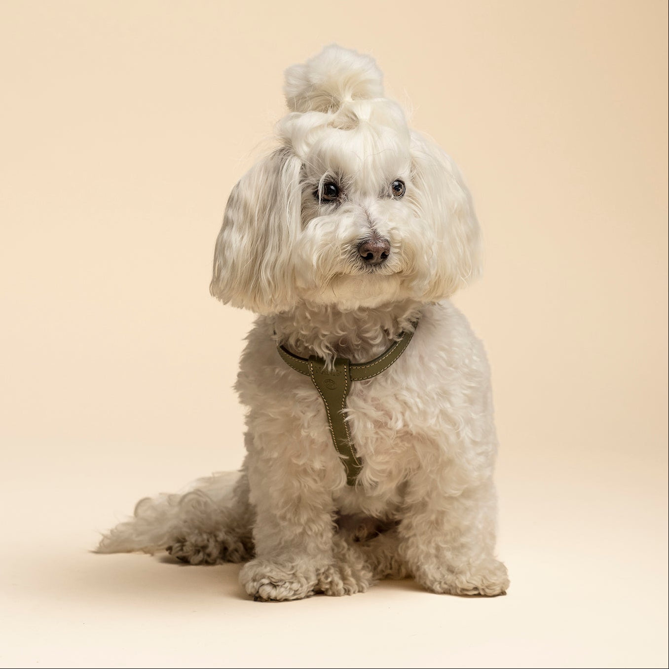 Pettorina Premium - Verde Harmony