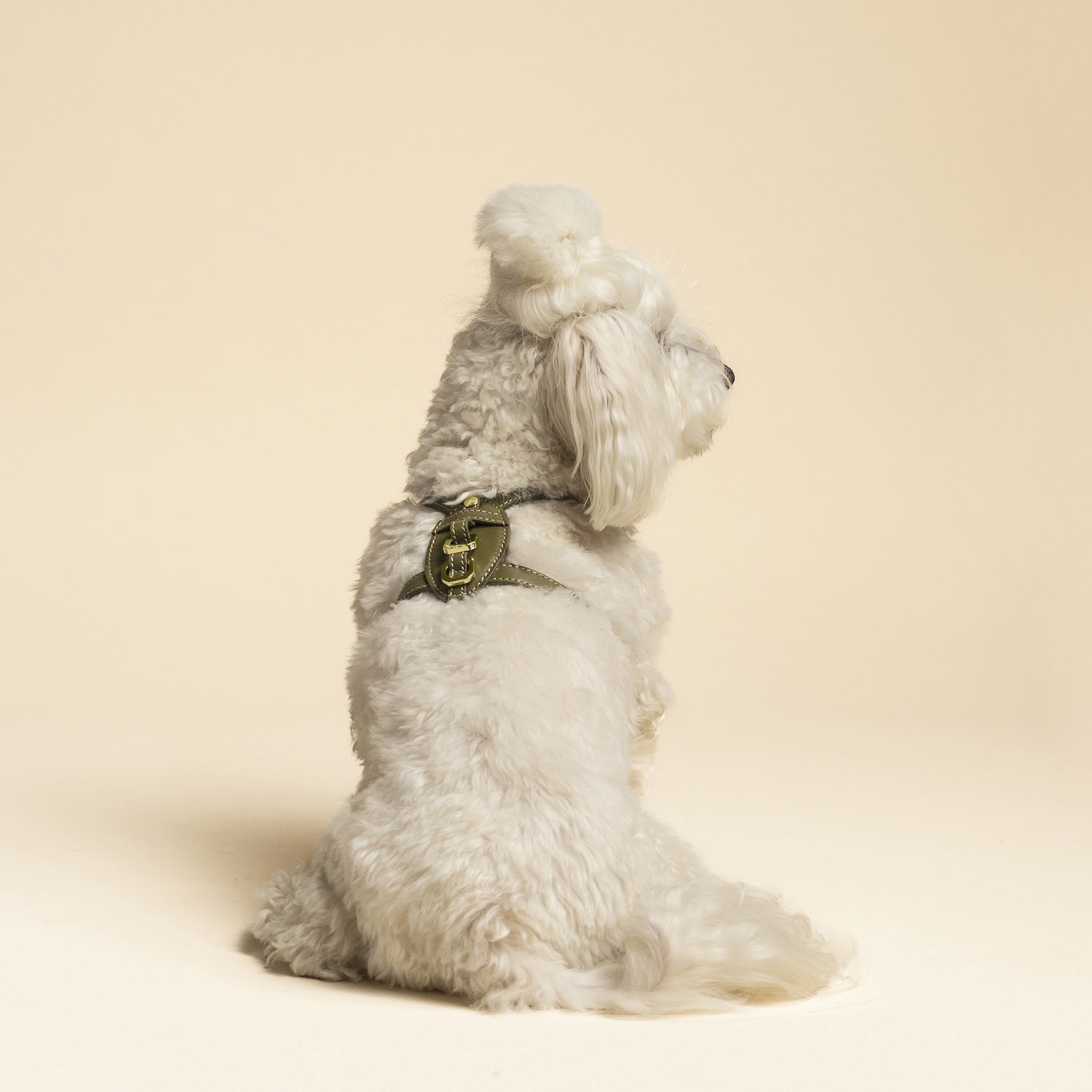 Premium Harness - Harmony Green