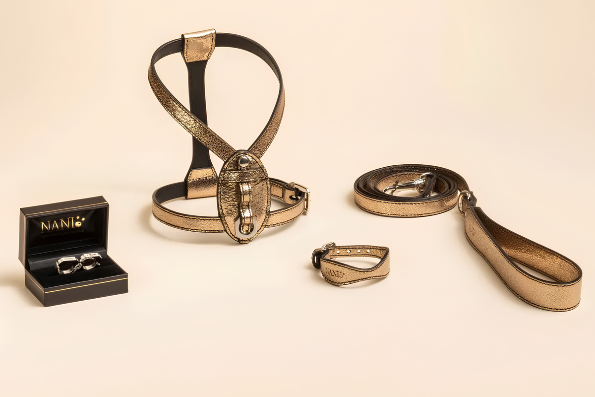 Set completi
