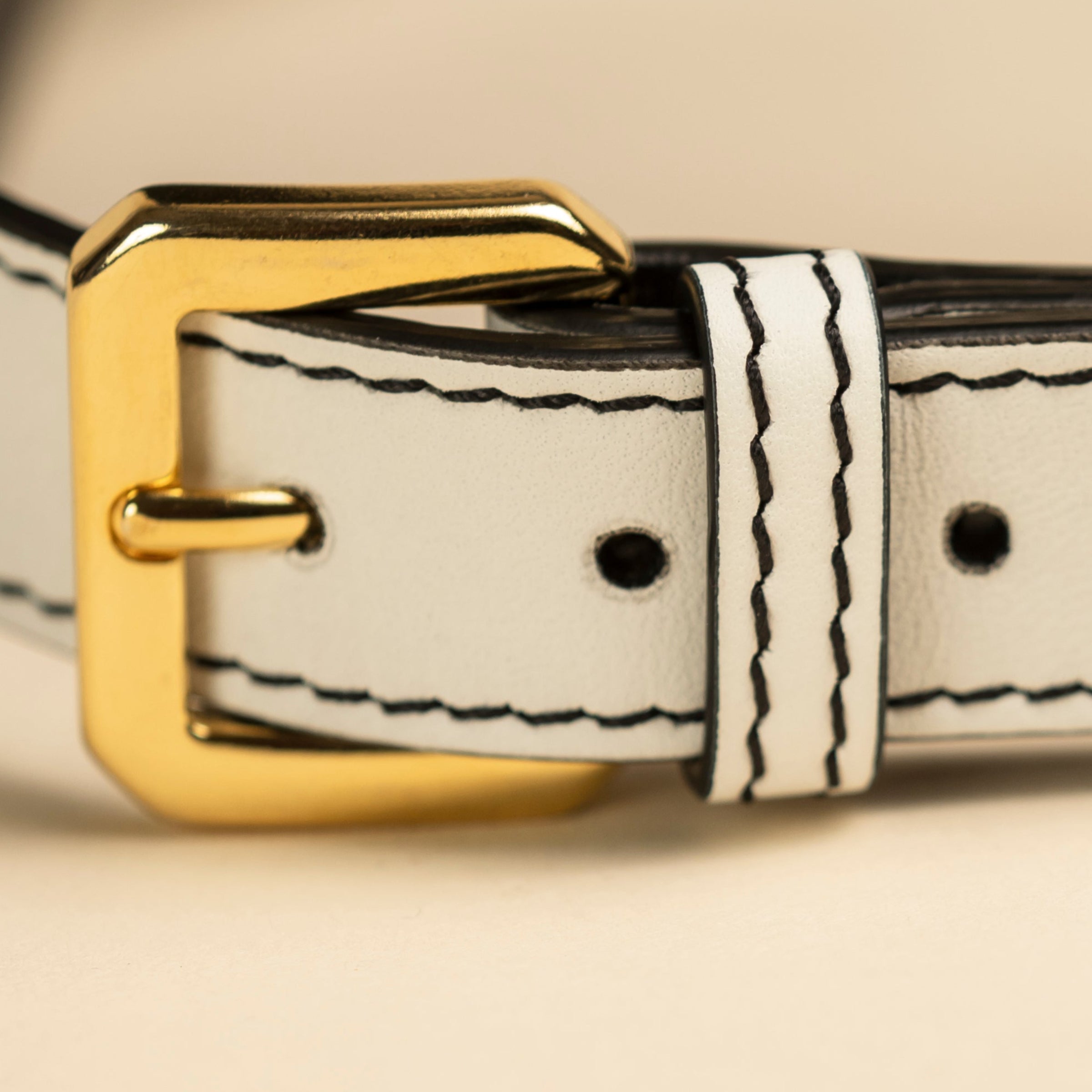 Harness- Limited Edition - Multicolor - Compasso d'Oro