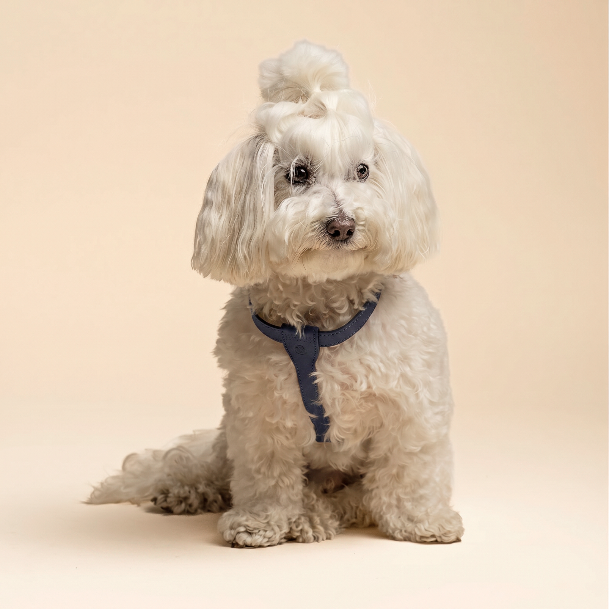 Pettorina Premium - Blu Gratitude