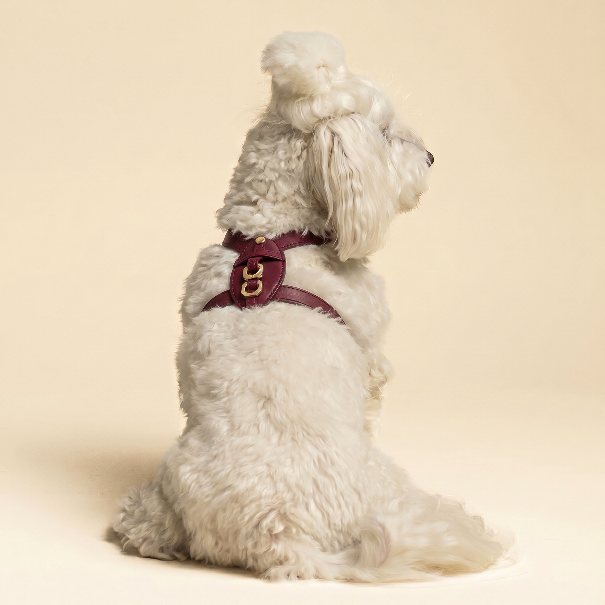 Pettorina Limited Edition - Vinaccia Deep Love