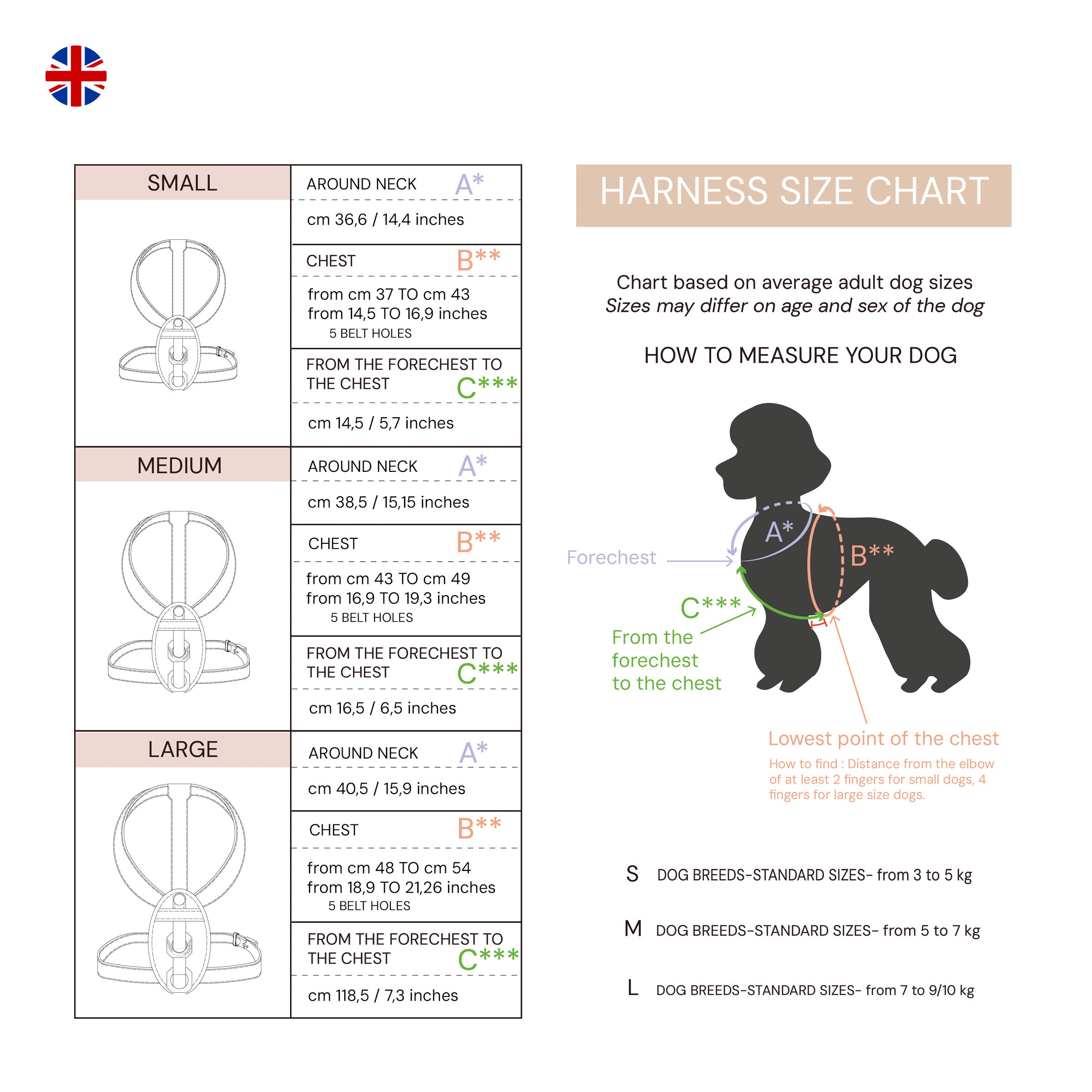 Harness - Limited Edition - Orange Joy