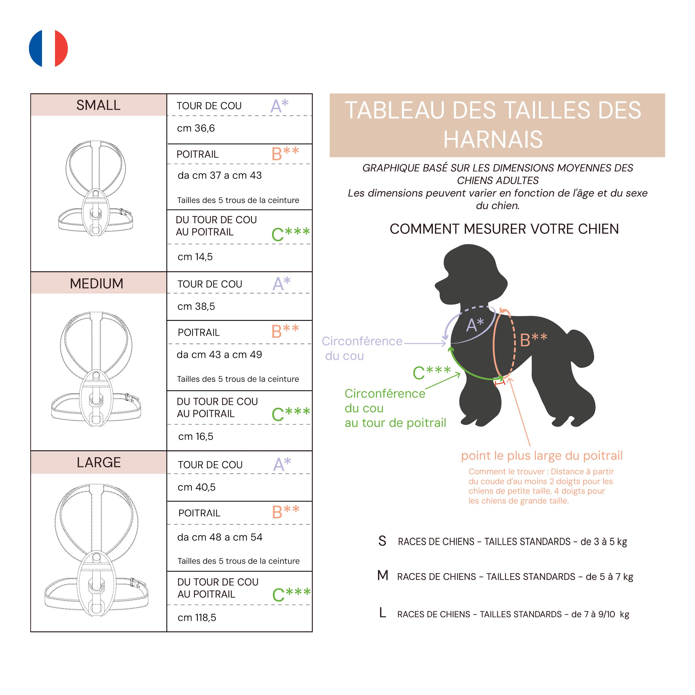 Harness - Limited Edition - Orange Joy
