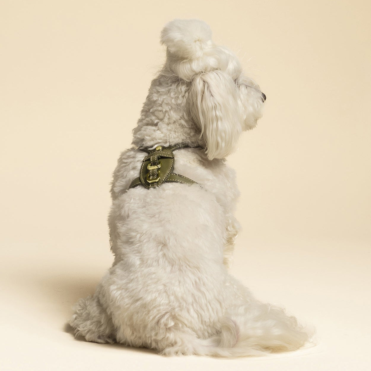 Pettorina Premium - Verde Harmony