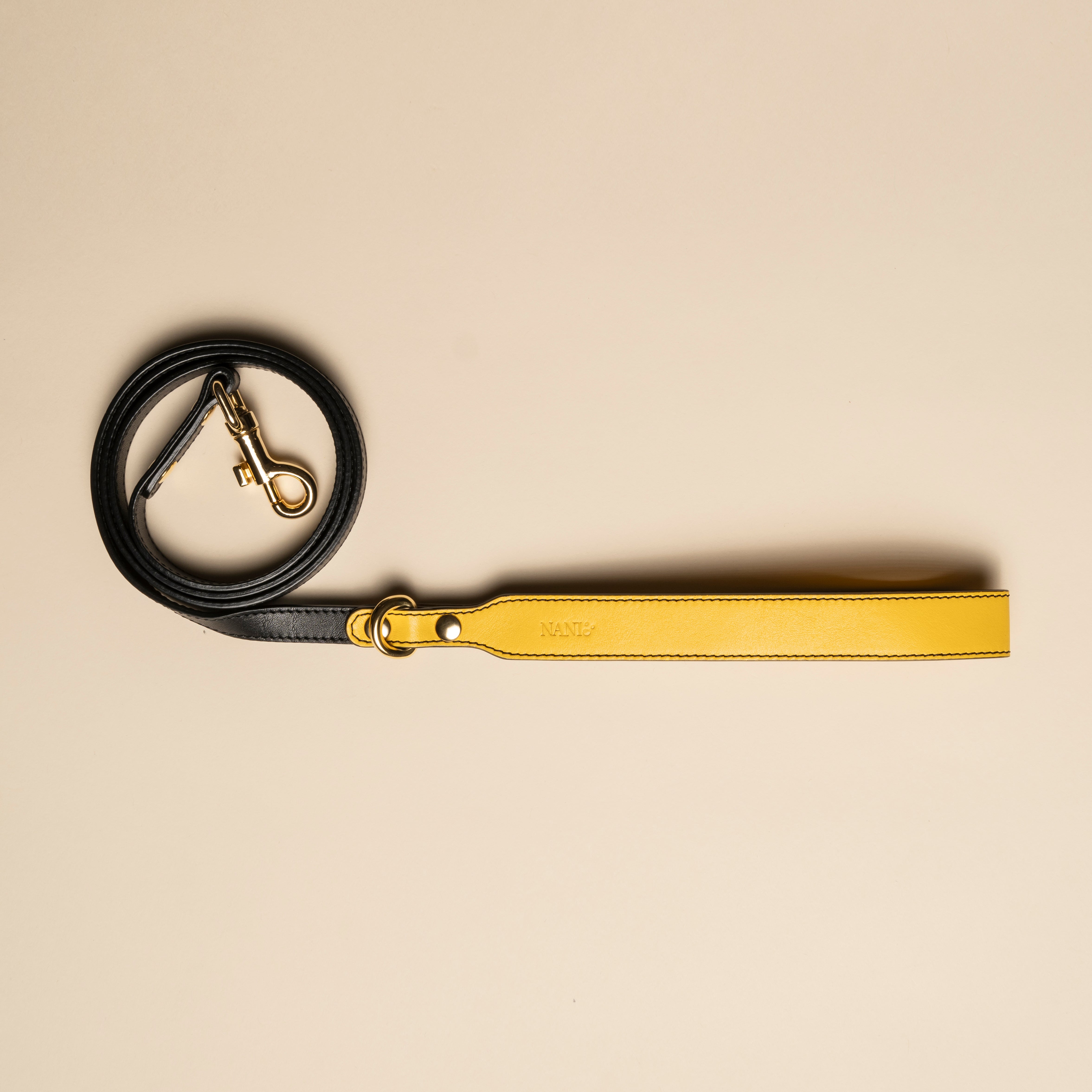 Limited Edition Leash - Multicolor Compasso D'oro