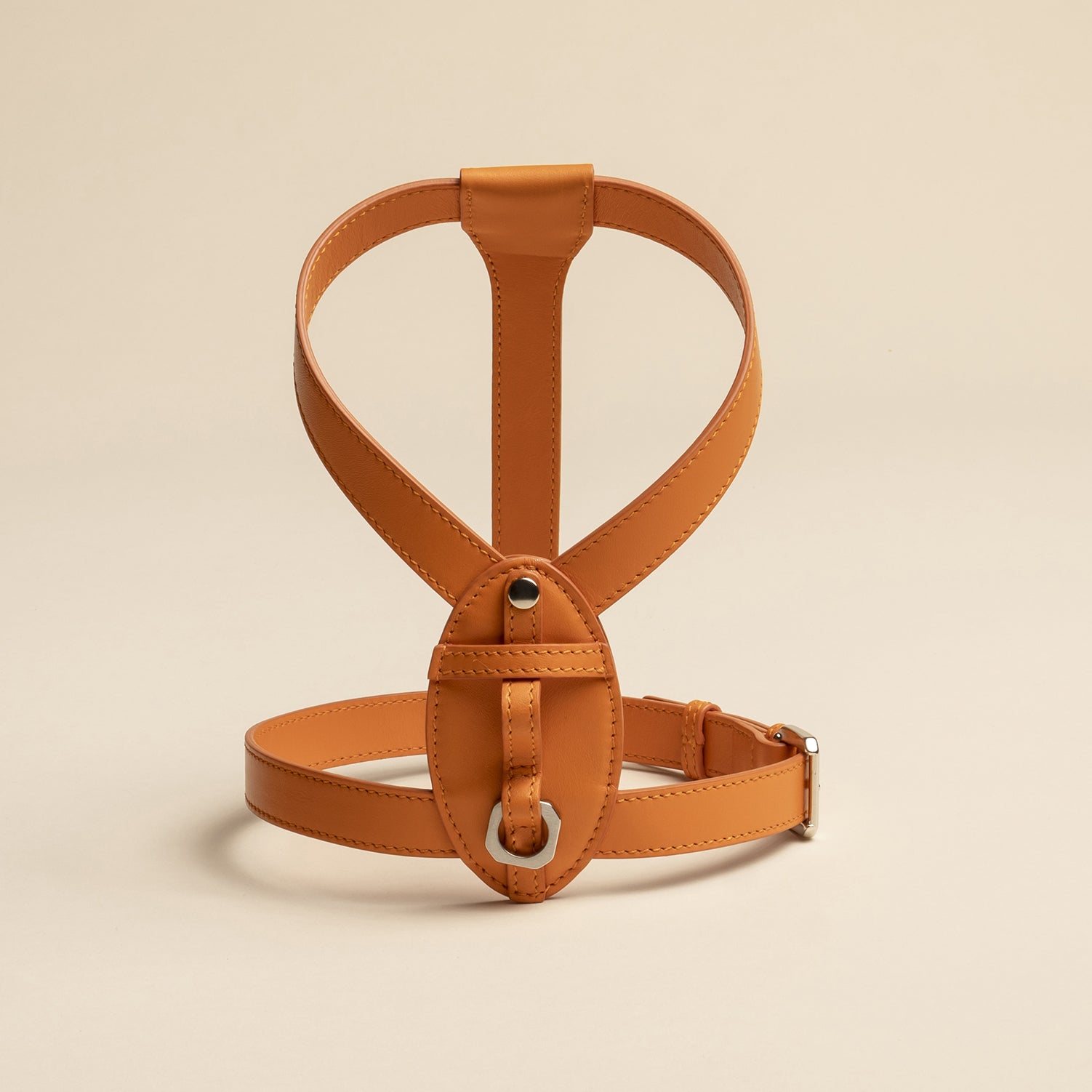 Harness - Limited Edition - Orange Joy